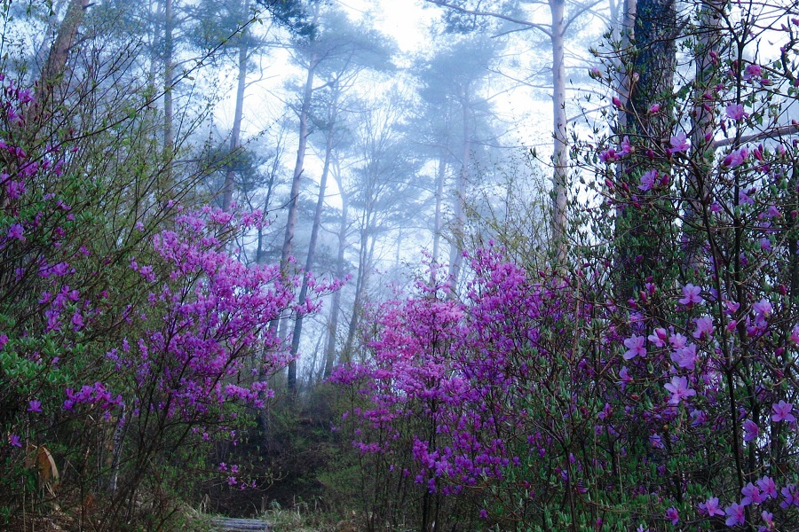 byフォトコンテスト